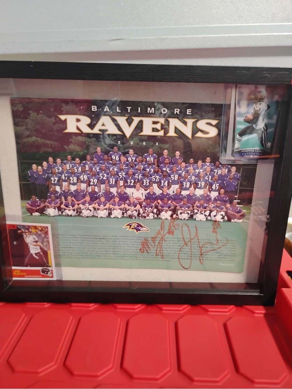 Framed Team Photo - Purple